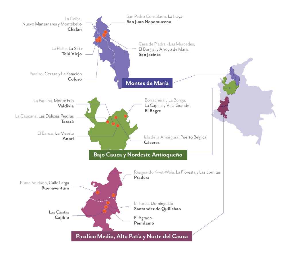 Mapa de las tres regiones donde trabaja WLH: Montes de Maria, Bajo Cauca y Nordeste Antioqueño y Paciifico, Alto Patia y Norte de Cauca